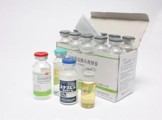 Selton Automatic Packaging Machine